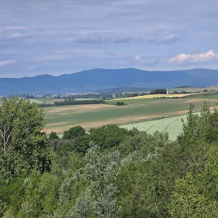 Hostel Apollo Zabkowice Slaskie Zewnętrze zdjęcie
